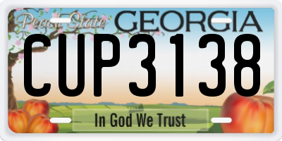 GA license plate CUP3138