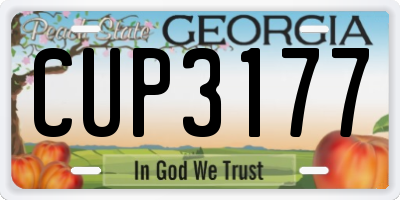 GA license plate CUP3177