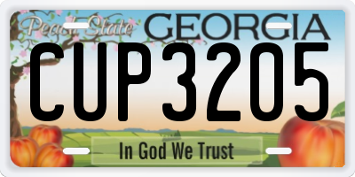 GA license plate CUP3205