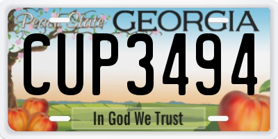 GA license plate CUP3494
