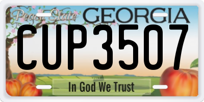 GA license plate CUP3507