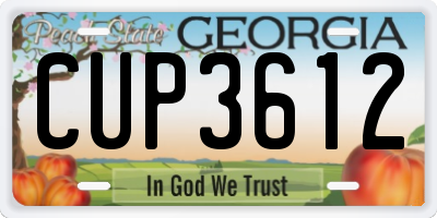 GA license plate CUP3612