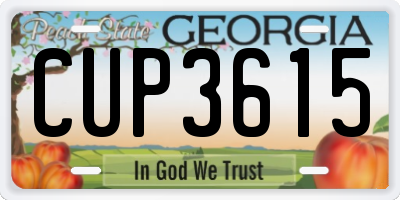 GA license plate CUP3615