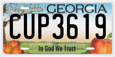 GA license plate CUP3619