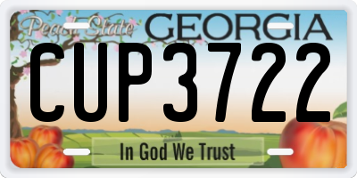 GA license plate CUP3722