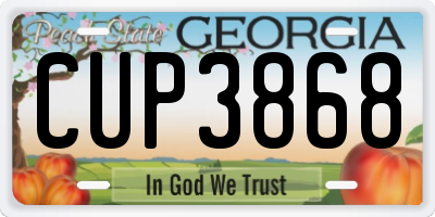 GA license plate CUP3868