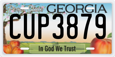 GA license plate CUP3879