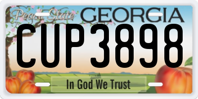GA license plate CUP3898
