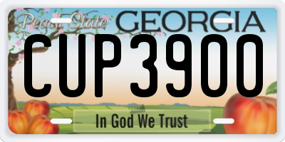 GA license plate CUP3900