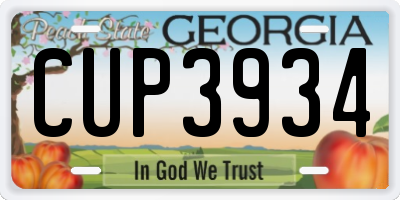 GA license plate CUP3934
