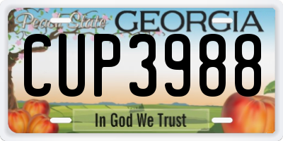 GA license plate CUP3988