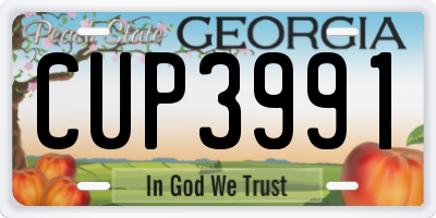 GA license plate CUP3991