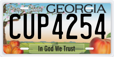 GA license plate CUP4254