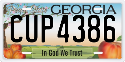 GA license plate CUP4386