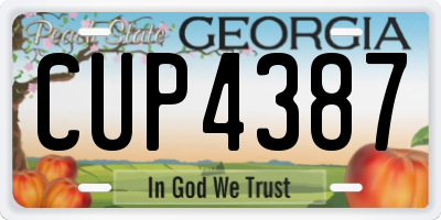 GA license plate CUP4387