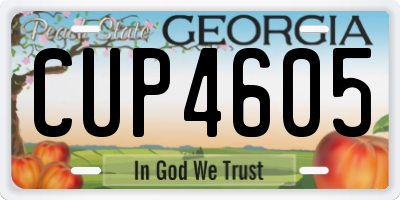GA license plate CUP4605