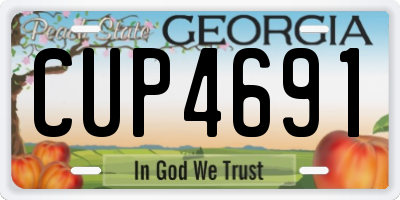 GA license plate CUP4691