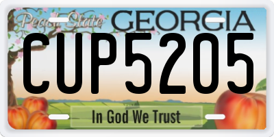 GA license plate CUP5205