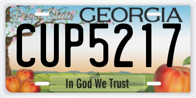 GA license plate CUP5217