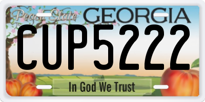 GA license plate CUP5222