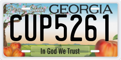 GA license plate CUP5261