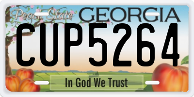 GA license plate CUP5264