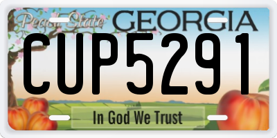GA license plate CUP5291