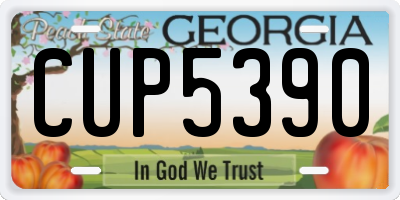 GA license plate CUP5390