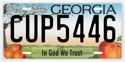 GA license plate CUP5446