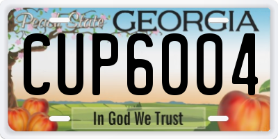 GA license plate CUP6004