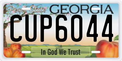 GA license plate CUP6044
