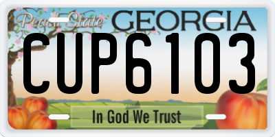 GA license plate CUP6103