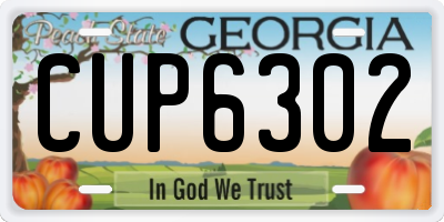 GA license plate CUP6302