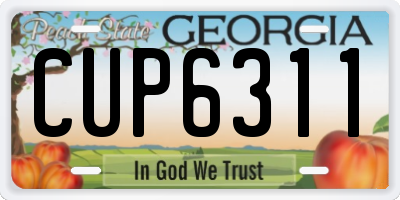 GA license plate CUP6311