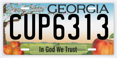 GA license plate CUP6313