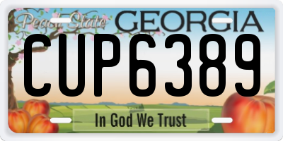 GA license plate CUP6389