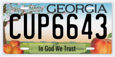 GA license plate CUP6643
