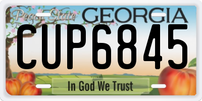 GA license plate CUP6845
