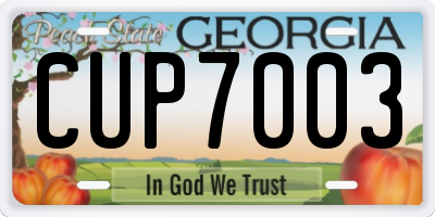 GA license plate CUP7003