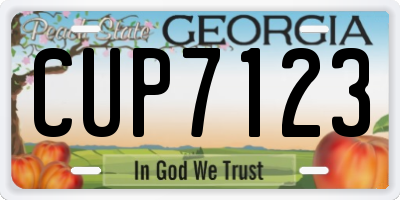 GA license plate CUP7123