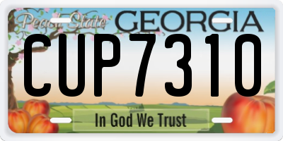 GA license plate CUP7310