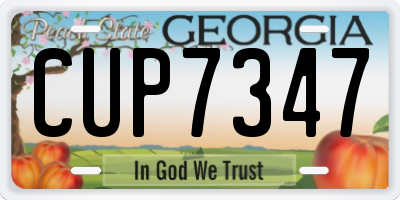 GA license plate CUP7347