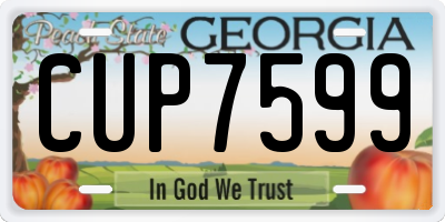 GA license plate CUP7599
