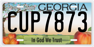 GA license plate CUP7873