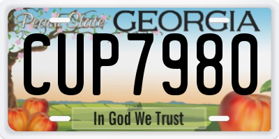 GA license plate CUP7980