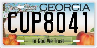 GA license plate CUP8041