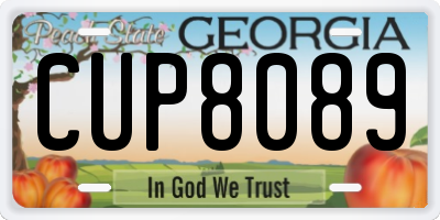 GA license plate CUP8089