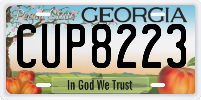 GA license plate CUP8223