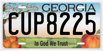 GA license plate CUP8225