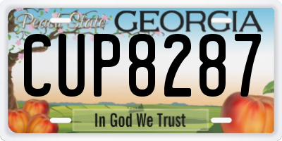 GA license plate CUP8287